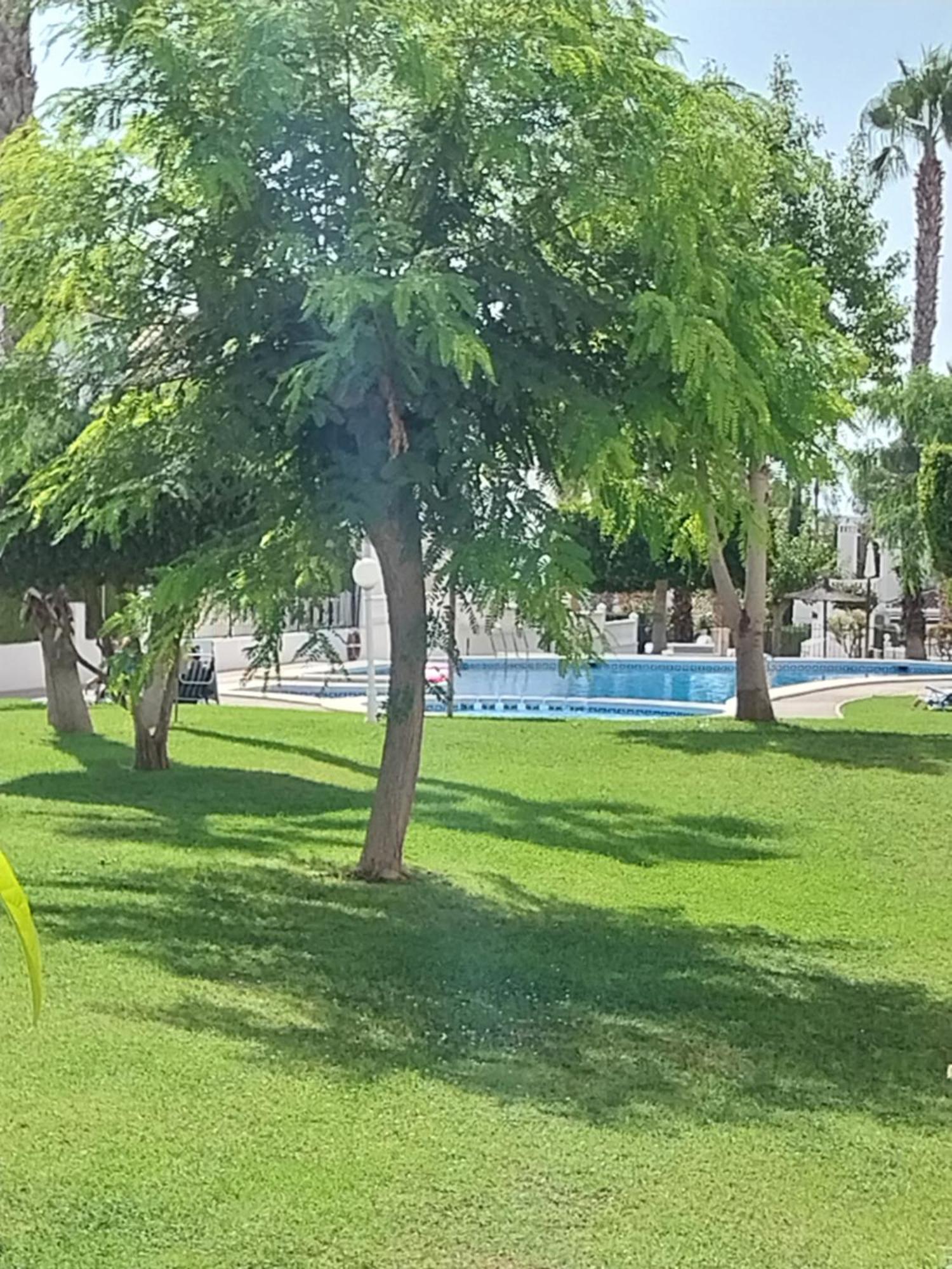 Charming Apartment In Front Of Villamartin Golf And Plaza Exterior photo